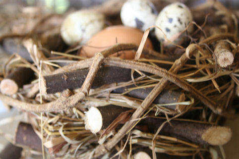 Klik voor groter beeld